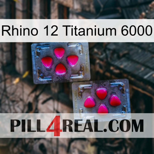 Rhino 12 Titanium 6000 15.jpg